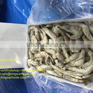 Grade A HOSO Vannamei,Shrimp Vannamei From India photo-3