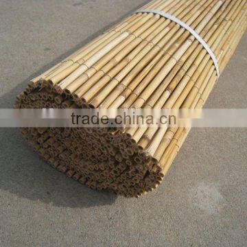 reed fence