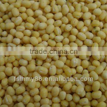 Northeast China peeled/skinless whole green mung bean