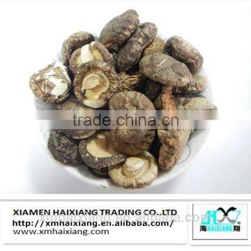 Oyster mushroom export price