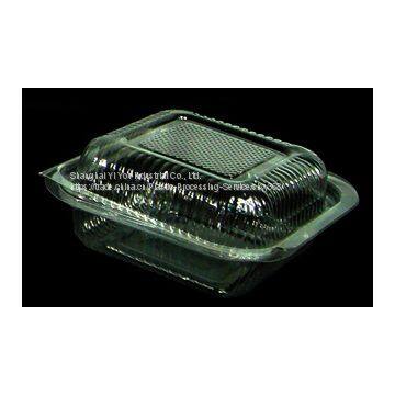 0.3mm Transparent Food Clamshells-Manufacturer in China Yiyou photo-3