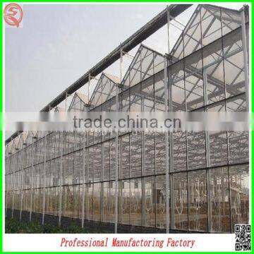 China Venlo Polycarbonate Sheet Greenhouse With Vegetable Seeds photo-2