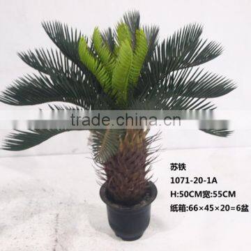 Artificial bonsai sago cycad palm trees for sale