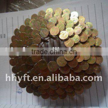 Coil Nail China Supplier on Hot Sale