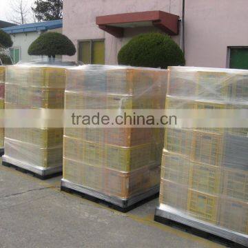 Citron Slice photo-3