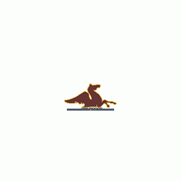Shanghai Flyhorse Industrial Co., Ltd.