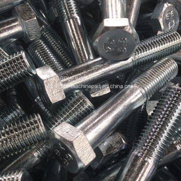 Supply High Quality Bolt and Nut With Best Price