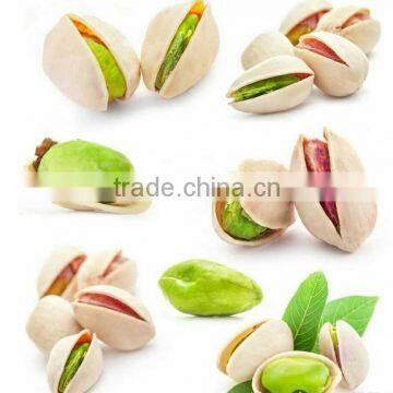 raw in shell opened mouth pistachios