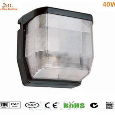 Outdoor Park Light Ceilging Light With Fixture Floodlight 40W 60W 80W 100W 5years Warranty Permanent Life photo-2