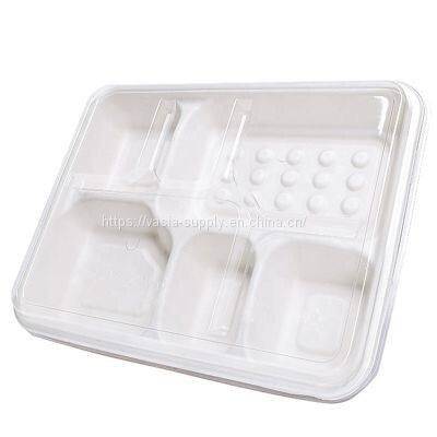 Biodegradable Rectangle 5-Compartment Plates Sugarcane pulp Bagasse Food Trays