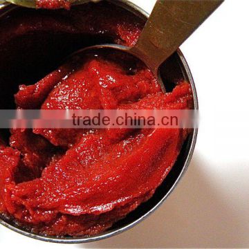 28-30% hot break tomato paste crop 2010