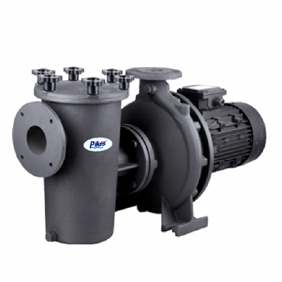 Large Capacity Swimming Pool Pump Big Power 5.5HP 7.5 HP 10HP 15HP Water Pump