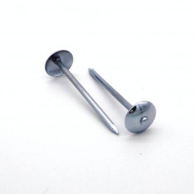 Custom Length Roofing Nails With Washer - Twist Shank Design photo-2