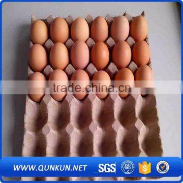 Best selling products 15 holes plastic transparent chicken eggs tray