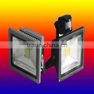 30W Halogen projector,outdoor led projector