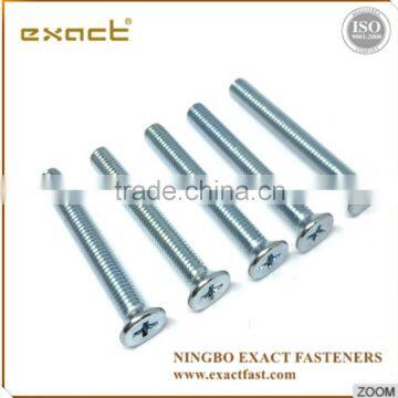 China Factory Supply Phillips Drive Csk Head Flat Head Zinc Machine Screw photo-2