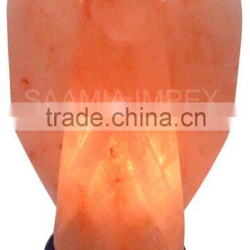 Amazing Himalayan Salt Lamp Angel