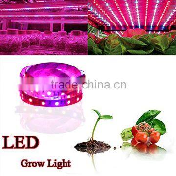 DC12V 300CM 60led/mSMD5050 Flexible Plant Growing Led Strip Light photo-1