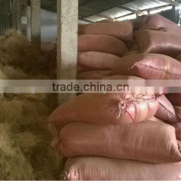 Loose Cocopeat QQ: 2598494113