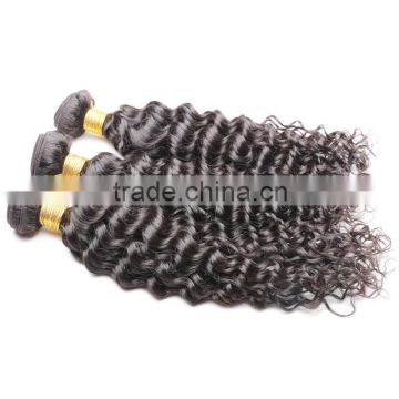 Grade 7A Malaysian Virgin Hair Water Wave 4pcs Lot Free Shipping Cheap Malaysian Curly hair 8"-30" Remy Human Hair Weave