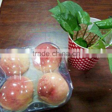 food grade disposable plastic fruit tray container