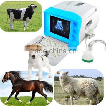 professional ultrasound scanner with clear image