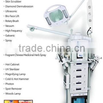 19 in 1 Beauty Salon Skin Care Multifuntional Beauty Aesthetic Device