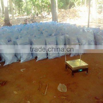 Fresh Coconuts From Kerala photo-4