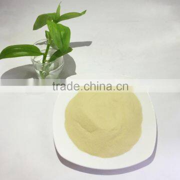 100% Natural Wheat Peptide Wheat Oligopeptides Powder for Health photo-2