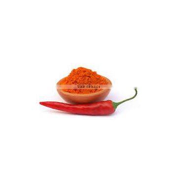 dry red chilli importers