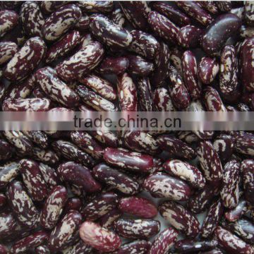 dry chinese purple speckled kidney bean