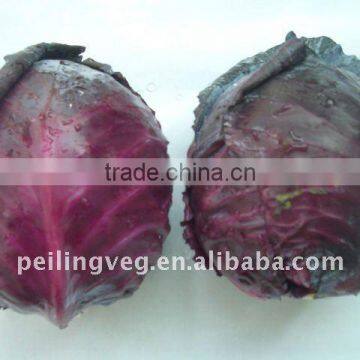 2011 New Crop Chinese Round Green Cabbage