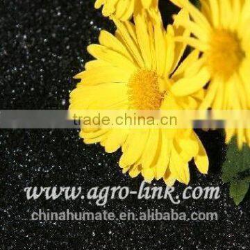 top dressing humic acid granule