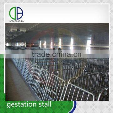 Livestock Pen Good Quality Pig Gestation Stall Crate For Pig Box photo-3
