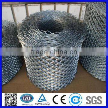 Plaster Wire Mesh