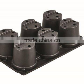 Q6 Nursery Tray photo-2