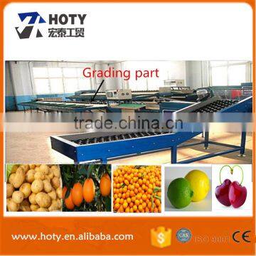 onion grading machine/waxing and grading machine