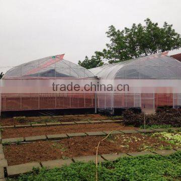 Cheap Large Greenhouse photo-6