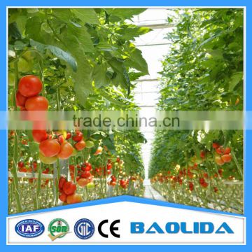 greenhouse price