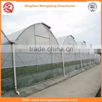 Agriculture equipment multi-span 12m plastic PE film agriculture greenhouse for sale