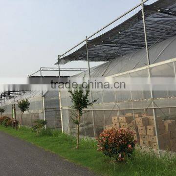 Agicultural Greenhouse photo-2