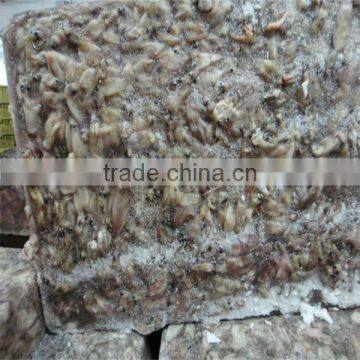 frozen cooked squid/seafood supplier