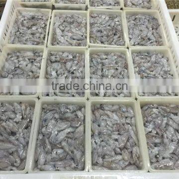 500g BQF Baby Squid photo-4