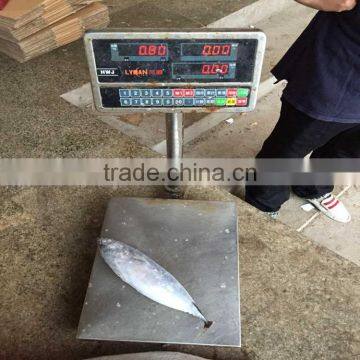 Whole bonito fish frigate tuna frozen fish for salt fish