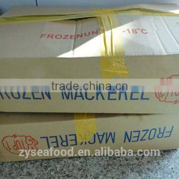 Frozen Saba Mackerel Fish photo-3