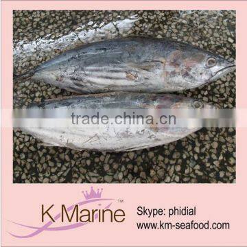 Seafood Frozen Katsuwonus Pelamis Fish lot number#kmw4015