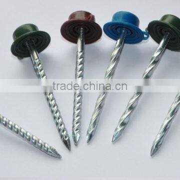 Roofing Nails With Plastic Cap photo-3