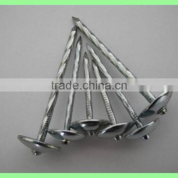 2.5'' Umberlla Roofing Nails, 25kg per Carton/50kg/gunny Bag