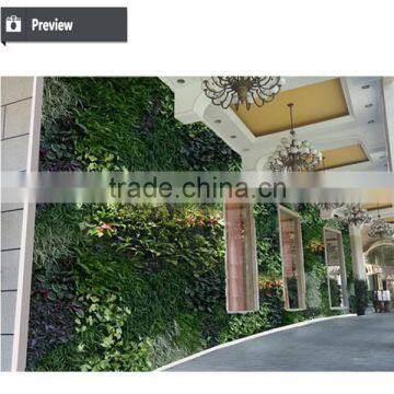 2015 Manufacturer Decorative Wall Pieces Vertical Green Wall photo-3