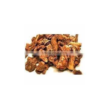 Hemidesmus Indicus Extract photo-3